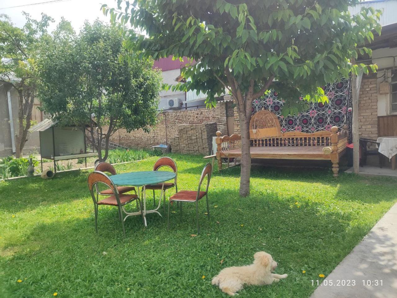 Tasmin Mexr Hostel Samarkanda Zewnętrze zdjęcie
